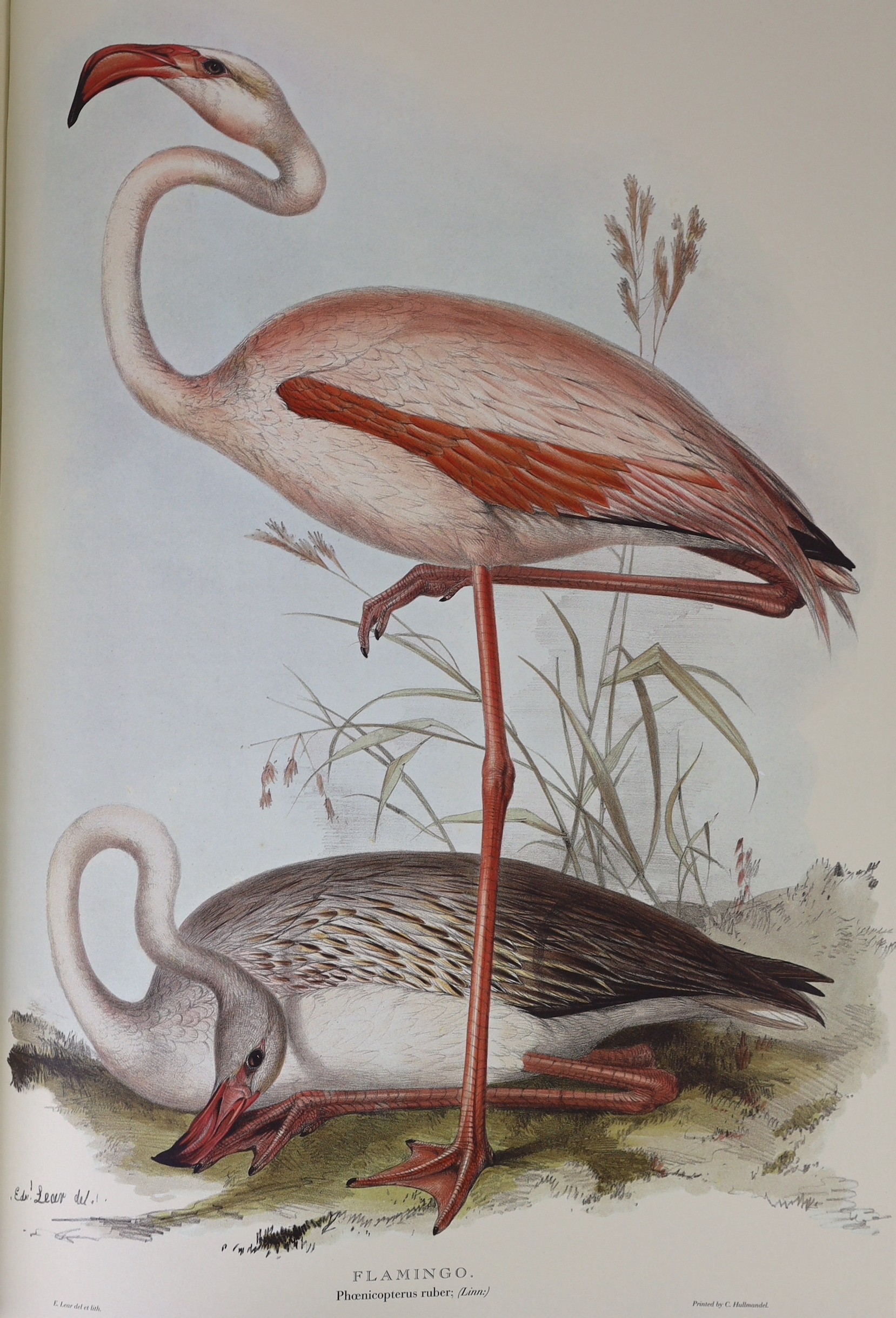Lear (Edward). Illustrations of Birds, drawn for John Gould, collected and introduced by David Attenborough, facsimile edition, Folio Society, 2012